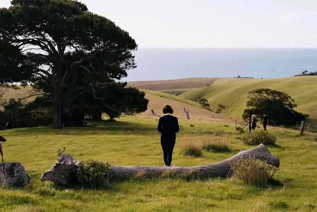 A landscape photo of rolling hills with an ocean and the sky in the distance. There is a large tree on the left and a person dressed in black is walking into the distance in the middle.